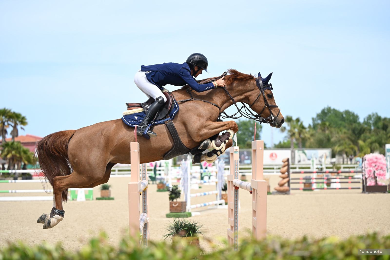 Diana saltando un vertical con un caballo alazán
