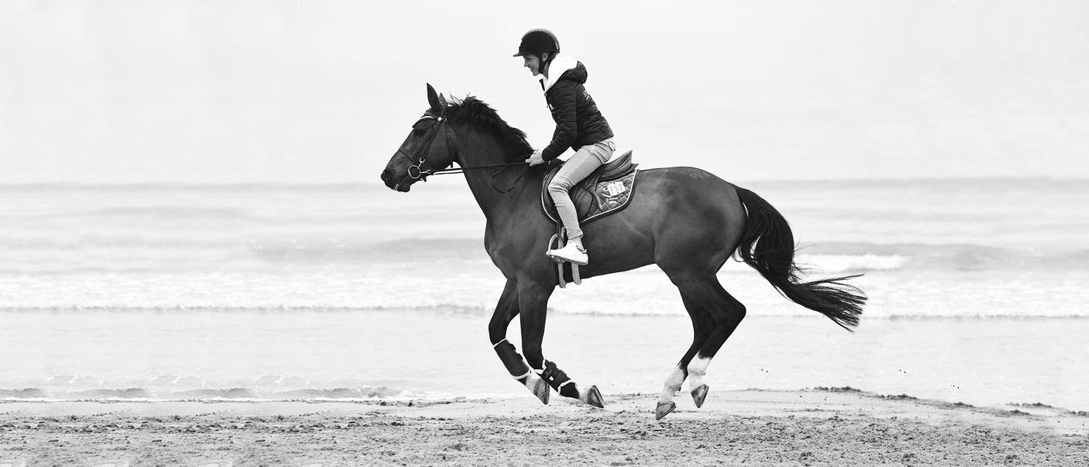 Diana a galope por la orilla de la playa con un caballo castaño oscuro