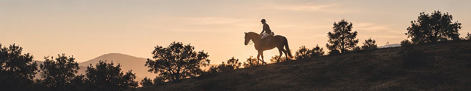 Silueta de jinete a caballo sobre una colina al atardecer
