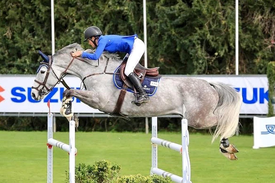 Voila Lara, yegua torda, saltando un oxer en pista de hierba